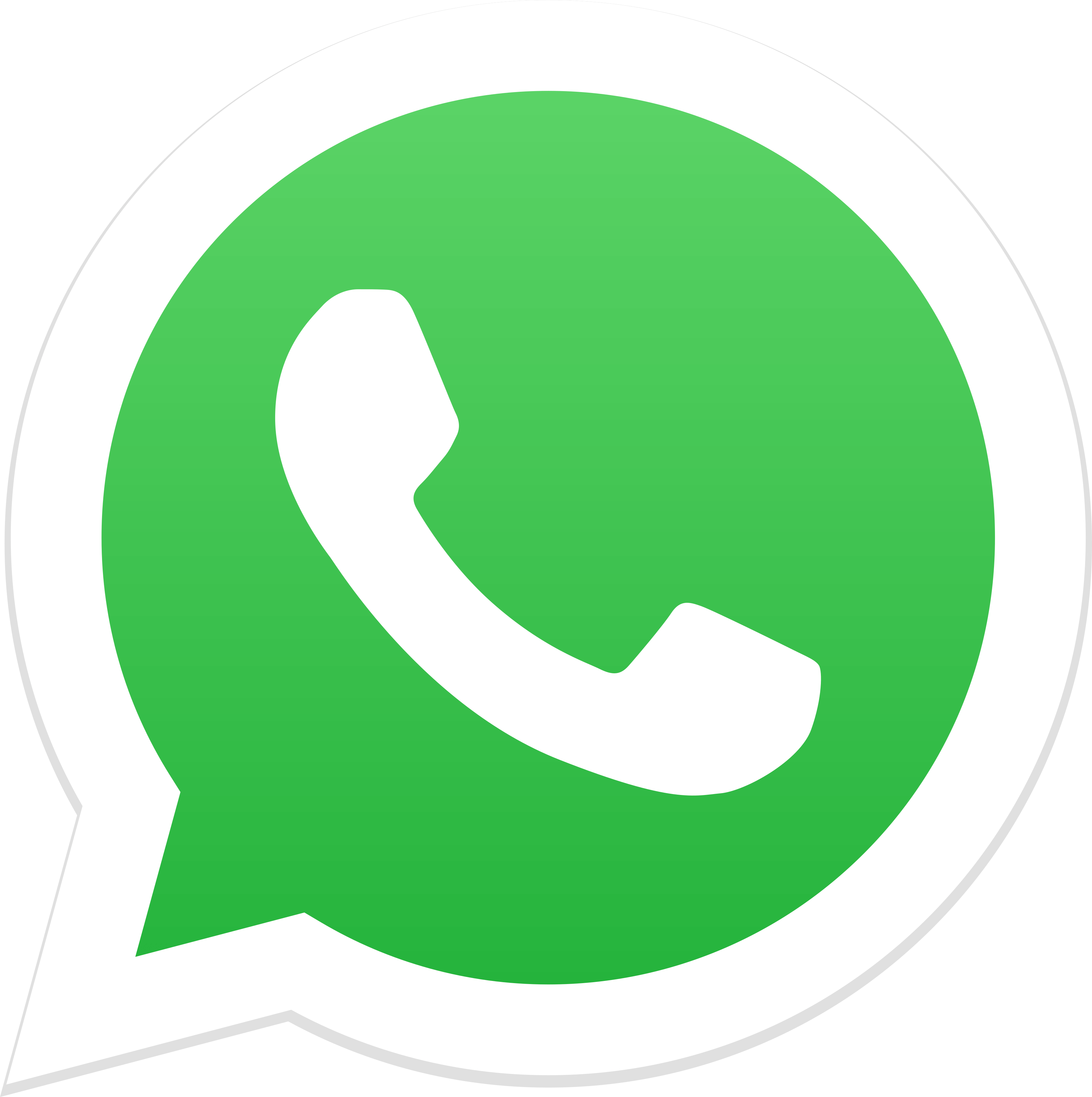 Suporte Aline - 17 997338041